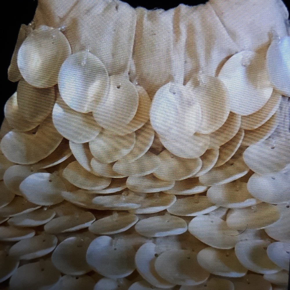 Mother of pearl,shell satchel and wood handled